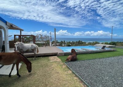 Vieques – Private Infinity Pool & Ocean View 5BR-3Bth